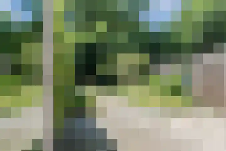 Salkhof 39 Hoogeveen thumbnail 30