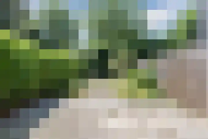 Salkhof 39 Hoogeveen thumbnail 31