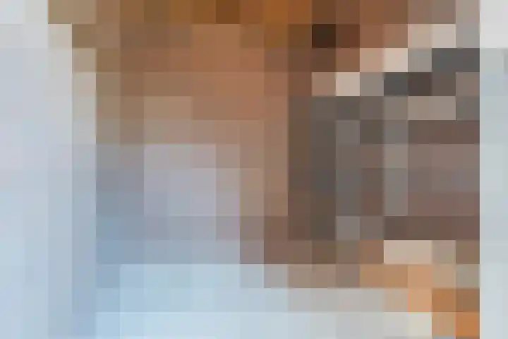 Salkhof 39 Hoogeveen thumbnail 34