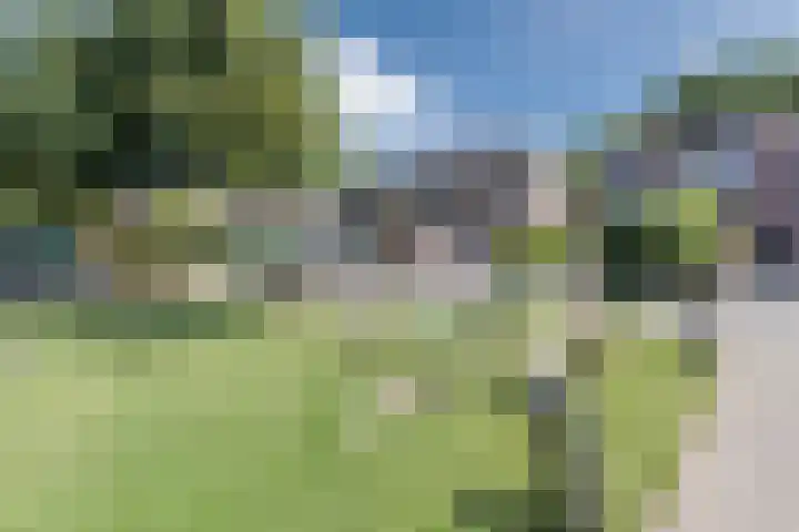 Salkhof 39 Hoogeveen thumbnail 37