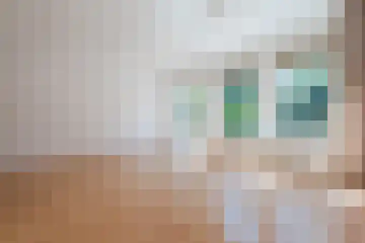 Salkhof 39 Hoogeveen thumbnail 7