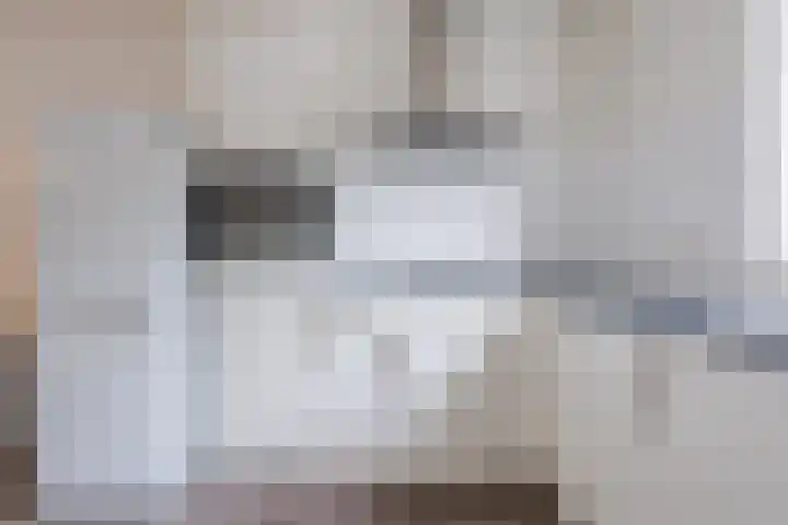 Salkhof 45 Hoogeveen thumbnail 10