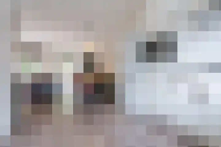 Salkhof 45 Hoogeveen thumbnail 11