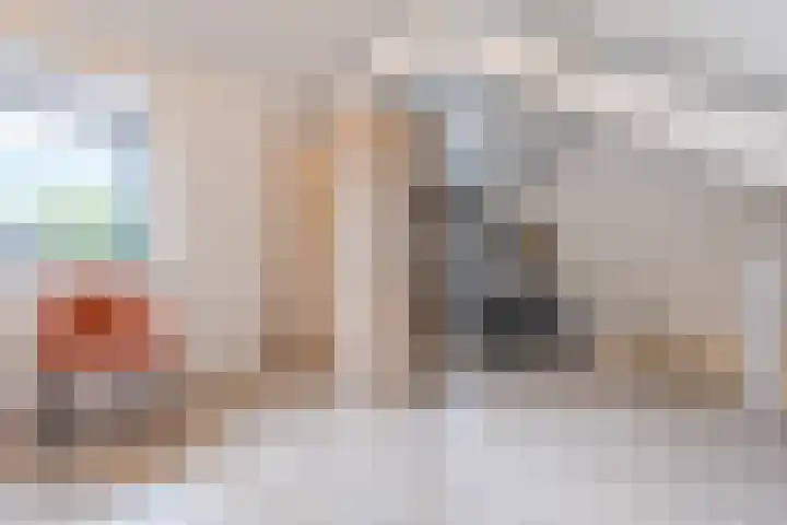 Salkhof 45 Hoogeveen thumbnail 30