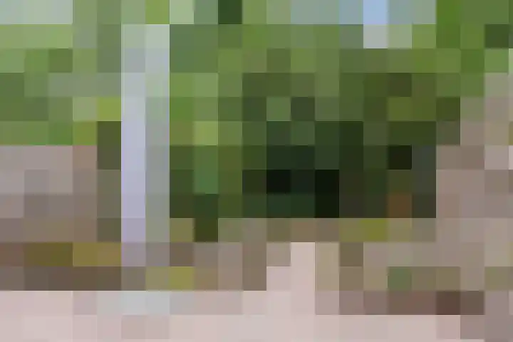 Salkhof 45 Hoogeveen thumbnail 33