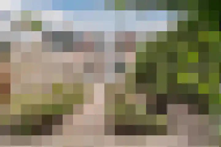 Salkhof 45 Hoogeveen thumbnail 36