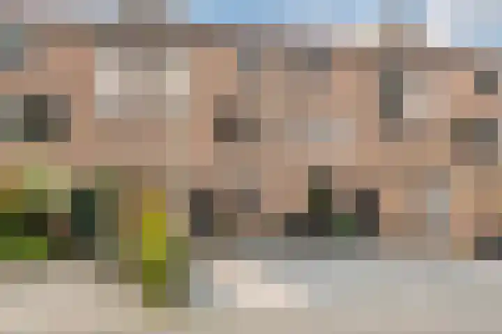 Salkhof 45 Hoogeveen thumbnail 41