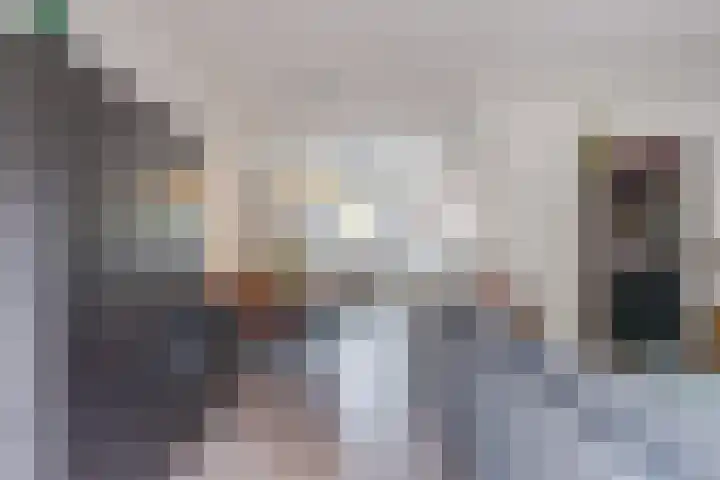 Salkhof 45 Hoogeveen thumbnail 5