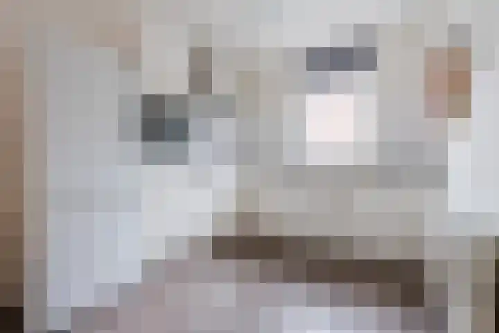 Salkhof 45 Hoogeveen thumbnail 8