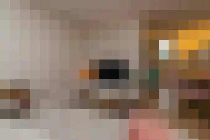 Salkhof 51 Hoogeveen thumbnail 12