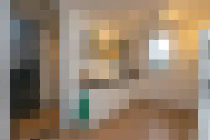Salkhof 51 Hoogeveen thumbnail 14