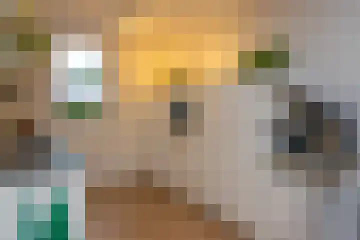 Salkhof 51 Hoogeveen thumbnail 16