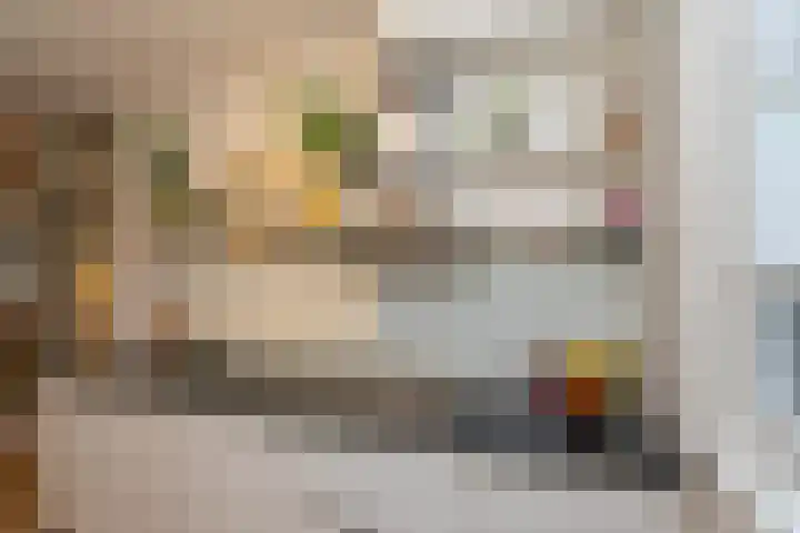 Salkhof 51 Hoogeveen thumbnail 17