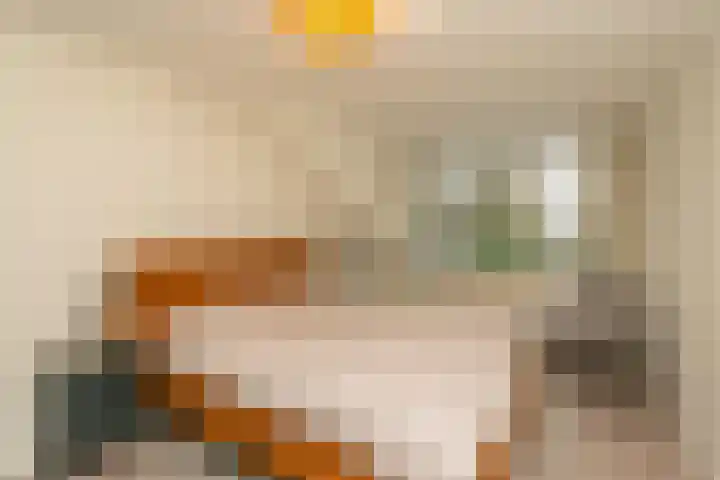 Salkhof 51 Hoogeveen thumbnail 22