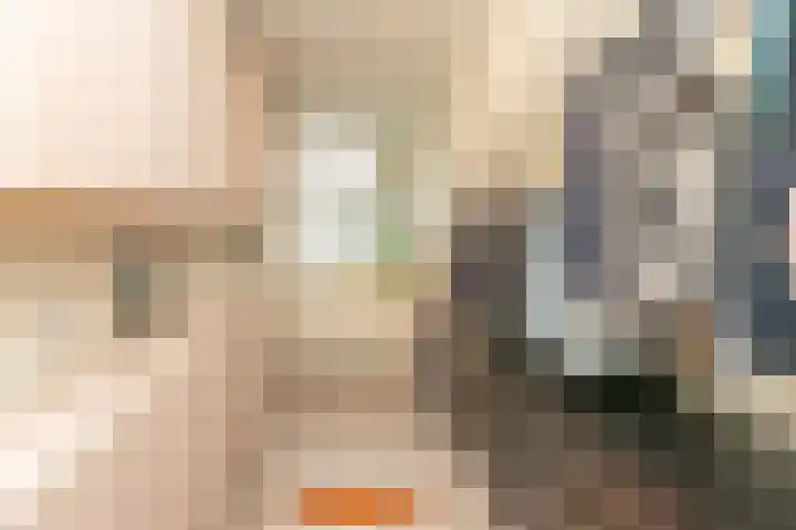 Salkhof 51 Hoogeveen thumbnail 24