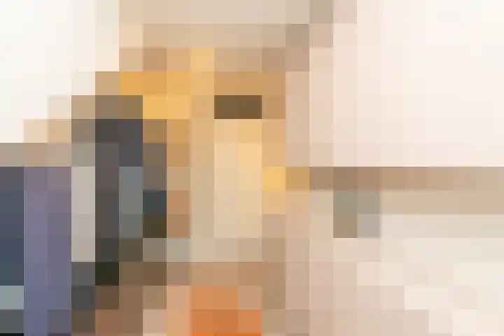 Salkhof 51 Hoogeveen thumbnail 25