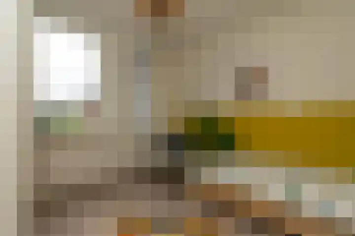 Salkhof 51 Hoogeveen thumbnail 26
