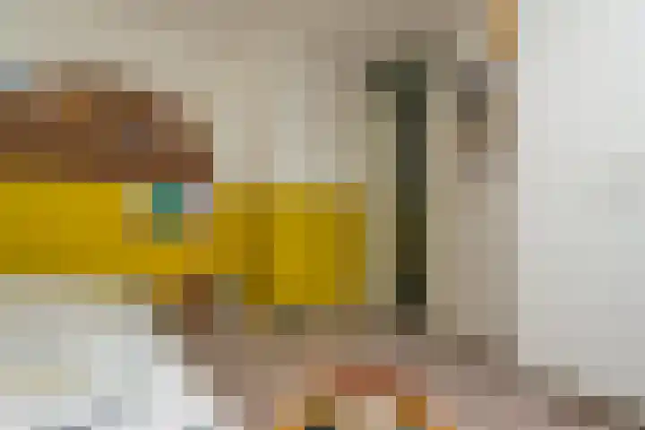 Salkhof 51 Hoogeveen thumbnail 27