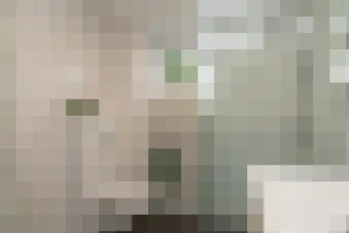 Salkhof 51 Hoogeveen thumbnail 28