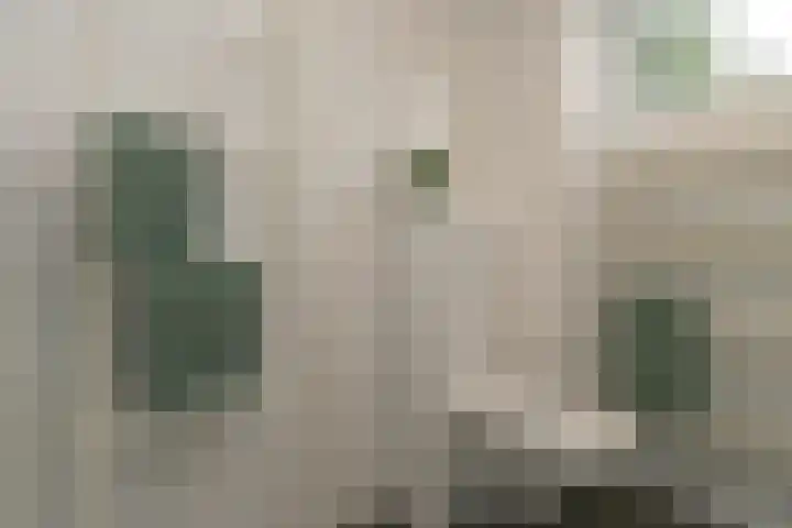 Salkhof 51 Hoogeveen thumbnail 29