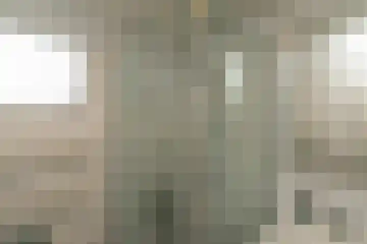 Salkhof 51 Hoogeveen thumbnail 30