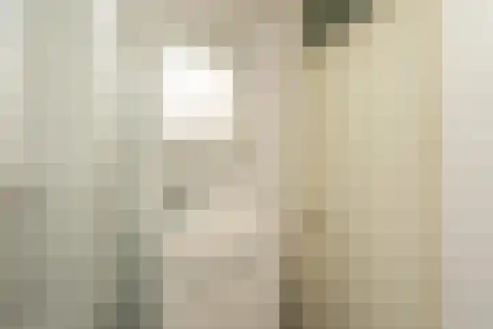 Salkhof 51 Hoogeveen thumbnail 31