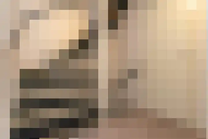 Salkhof 51 Hoogeveen thumbnail 32