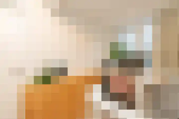 Salkhof 51 Hoogeveen thumbnail 33