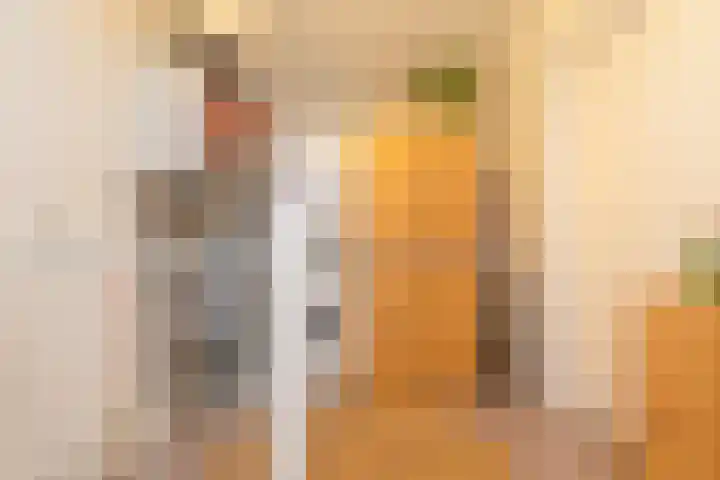 Salkhof 51 Hoogeveen thumbnail 34
