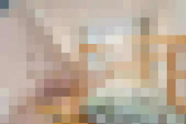 Salkhof 51 Hoogeveen thumbnail 35