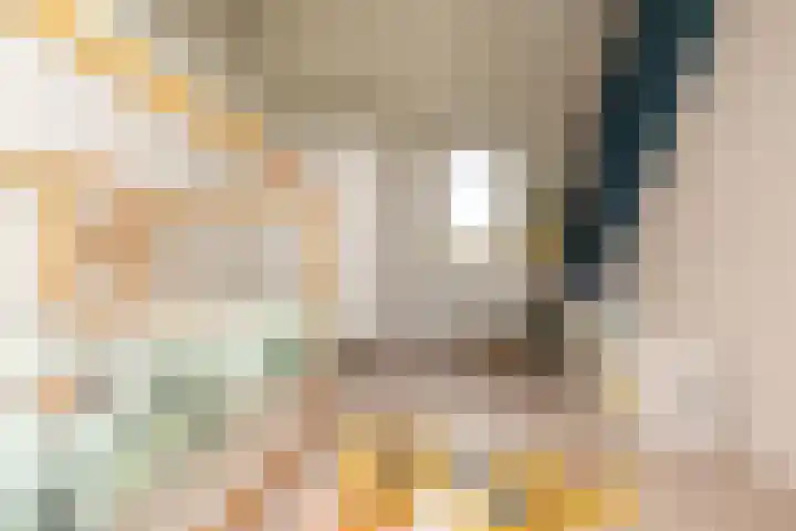 Salkhof 51 Hoogeveen thumbnail 36