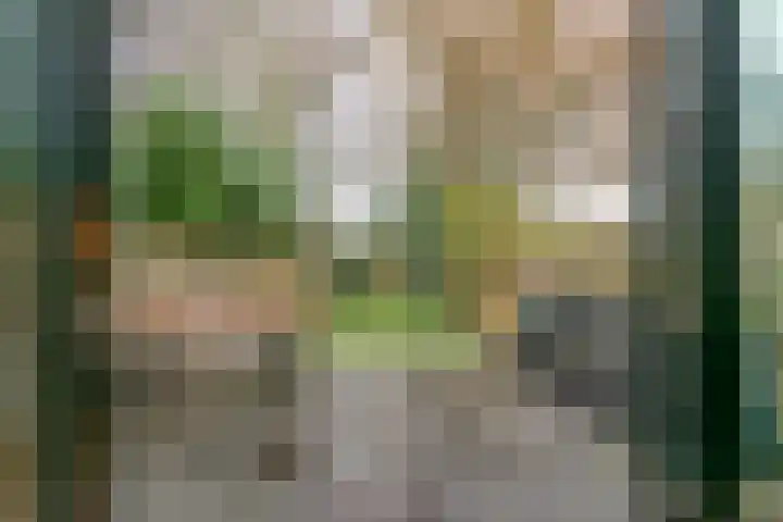 Salkhof 51 Hoogeveen thumbnail 37