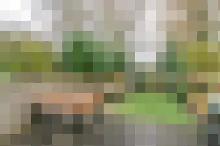 Salkhof 51 Hoogeveen thumbnail 38