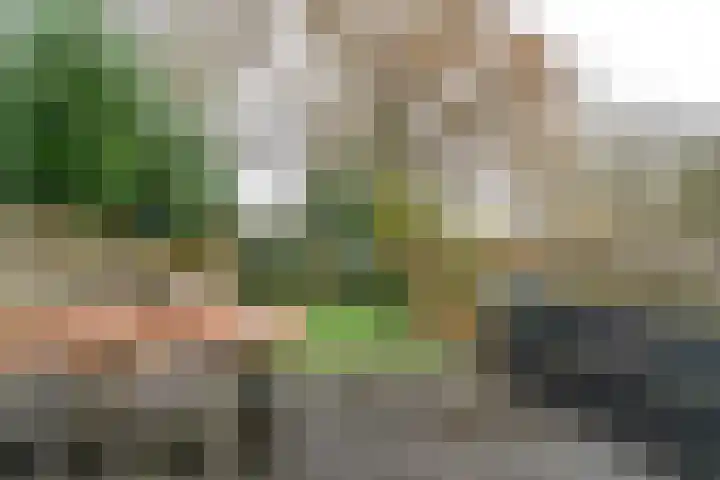 Salkhof 51 Hoogeveen thumbnail 39