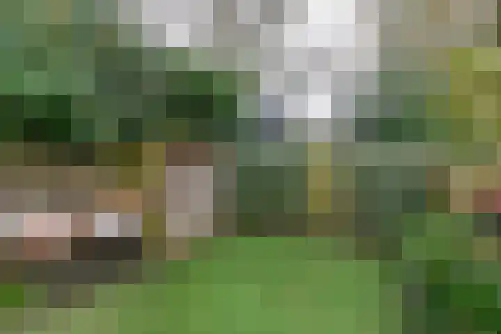 Salkhof 51 Hoogeveen thumbnail 40