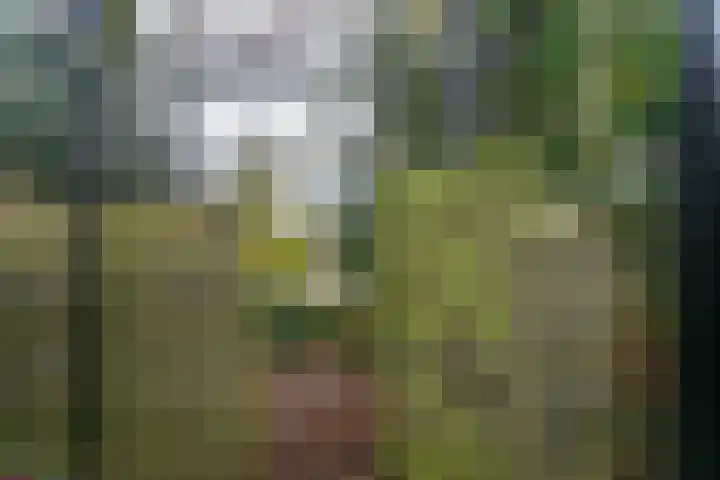 Salkhof 51 Hoogeveen thumbnail 41