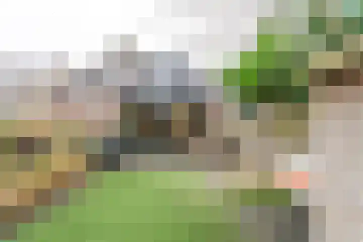 Salkhof 51 Hoogeveen thumbnail 42