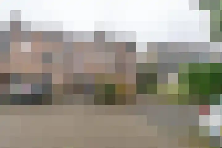 Salkhof 51 Hoogeveen thumbnail 43