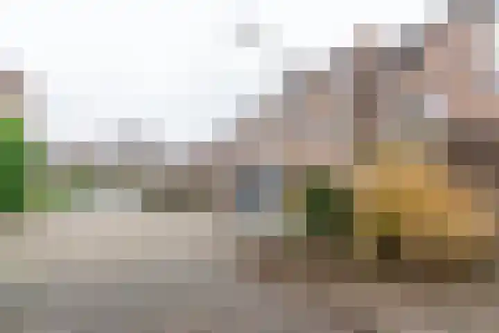 Salkhof 51 Hoogeveen thumbnail 44