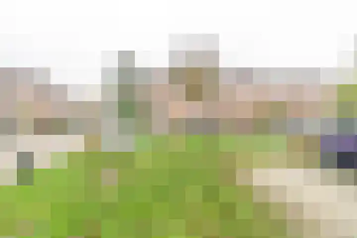 Salkhof 51 Hoogeveen thumbnail 45