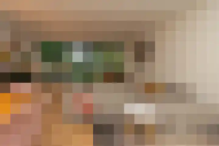 Salkhof 51 Hoogeveen thumbnail 5