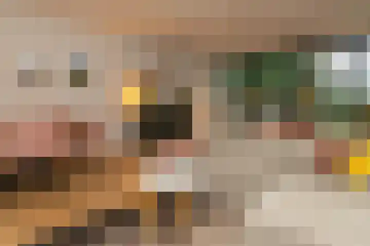 Salkhof 51 Hoogeveen thumbnail 6