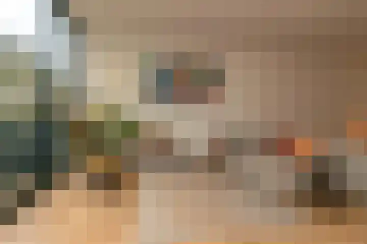 Salkhof 51 Hoogeveen thumbnail 8