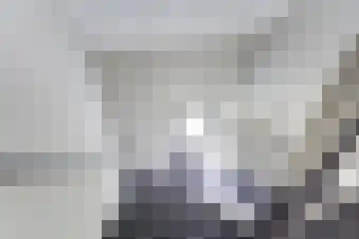 Salland 11 Emmeloord thumbnail 11