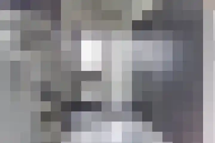 Salland 11 Emmeloord thumbnail 12