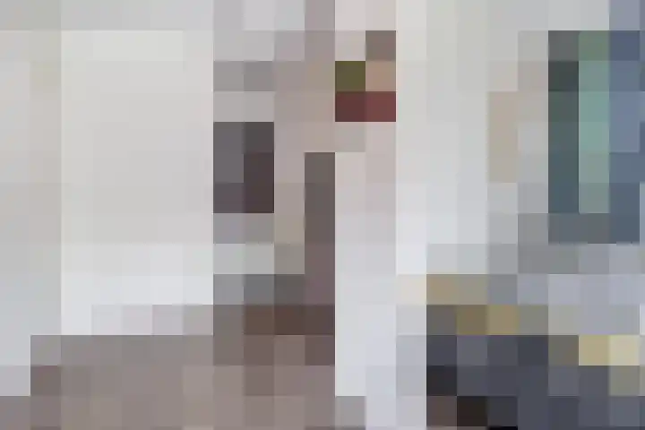 Salland 11 Emmeloord thumbnail 15