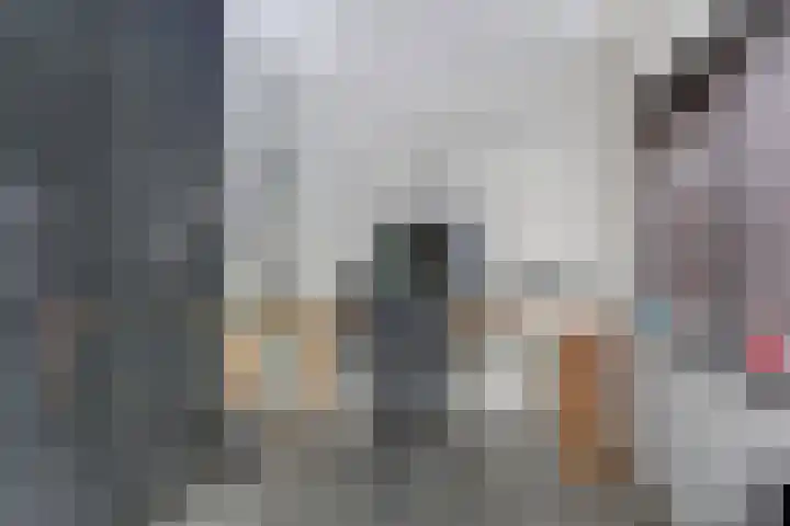 Salland 11 Emmeloord thumbnail 17