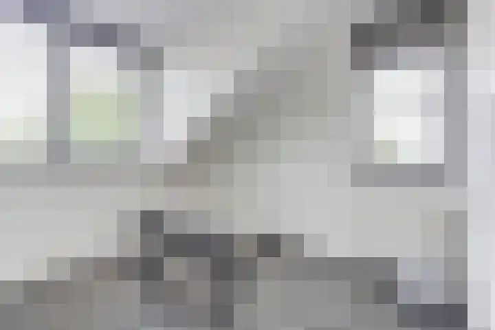 Salland 11 Emmeloord thumbnail 18