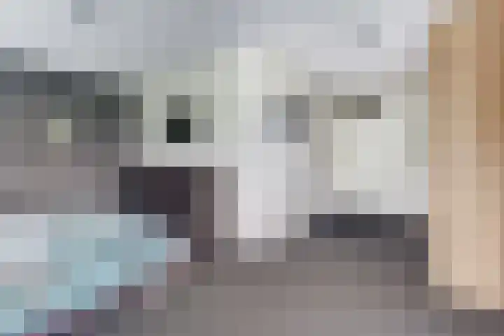 Salland 11 Emmeloord thumbnail 22