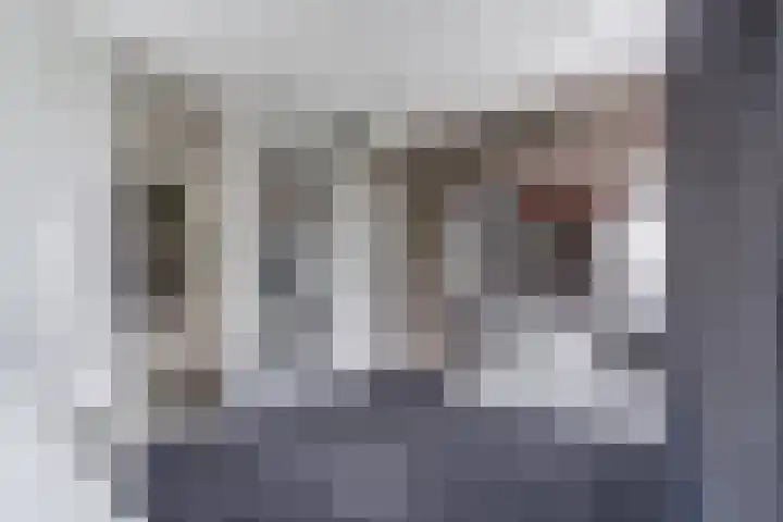 Salland 11 Emmeloord thumbnail 23